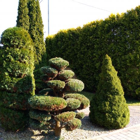 Formowanie i przycinanie.