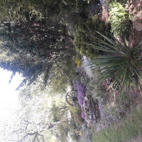 Przy wejściu na posesję