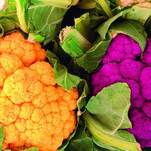 Kolorowe kalafiory cieszą zarówno oko, jak i podniebienie
