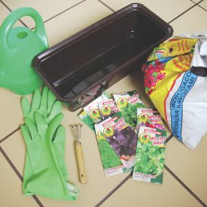 Warto dokładnie czytać etykiety na opakowaniach. Znajdują się tu ważne informacje o odmianach i pochodzeniu roślin oraz o sposobie ich wysiewu.