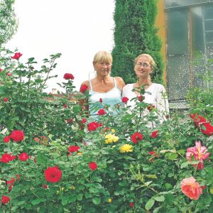 Agnieszka Huber z mamą Anną wśród kolorowych róż. 