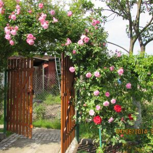 Wejscie ...na działkę 