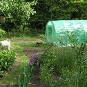 A teraz dla ciała , część owocowo - warzywna