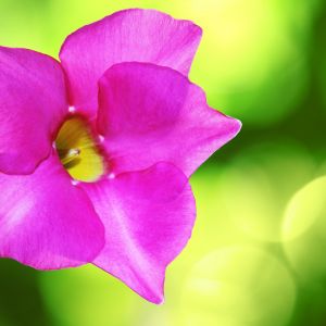 (zdj.: Fotolia.com)