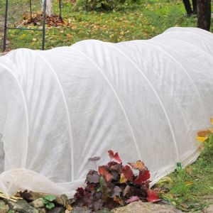 Dbanie o byliny jesienią (zdj.: Fotolia.com)