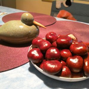 Tą dekorację mam w kuchni. Kasztany wyglądają jak ciasteczka... :) Obok postawiłam bardzo ładną, ceramiczną kaczkę :)