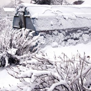 Ogród zimą (zdj.: Fotolia.com)