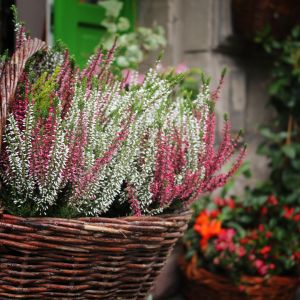 (zdj.: Fotolia.com)