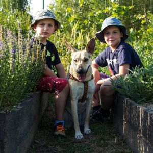 W ziołowych perma-grządkach.