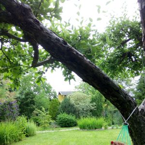 Relaks na hamaku. Zieleń w całej mnogości odcieni