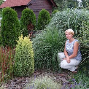 Moja ulubiona rabata z trawami.