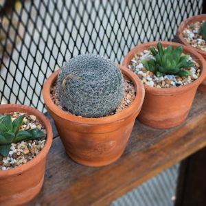 (zdj.: Shutterstock.com)