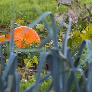  (zdj.: Adobe Stock)