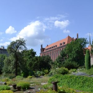 Ogród Botaniczny we Wrocławiu.