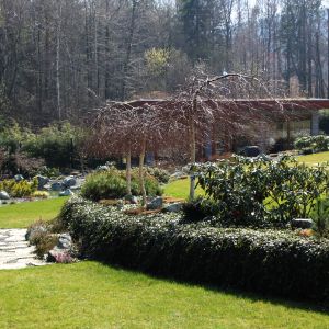 Ogród kaskadowy - zdjęcia, rośliny