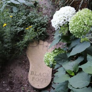 BLACK FOOD