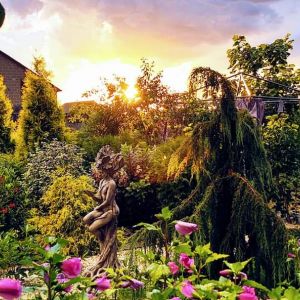 Garden Marlenity