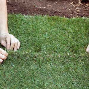 Dopasowywanie darni. 
Kawałki darni powinny do siebie dokładnie przylegać. Po układanym trawniku należy stąpać bardzo ostrożnie. Deska zmniejsza nacisk ciała na powierzchnię trawnika.

