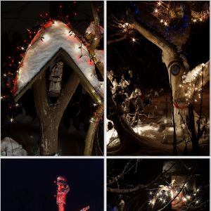Rozświetlone świątecznymi lampkami