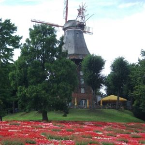 Brema-park w centrum miasta