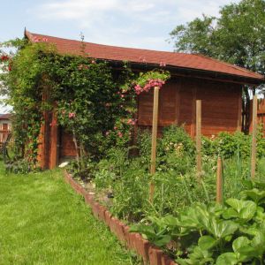 Warzywniak i pnącza na domku ogrodnika