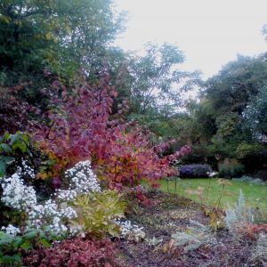 Ogród w jesiennej odsłonie również zachwyca kolorami.