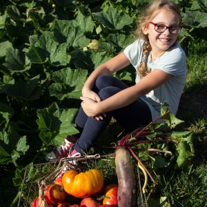 Duże i zdrowe warzywa tylko z ogrodu ekologicznego