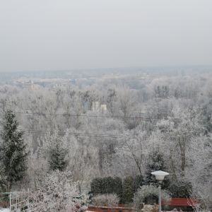 poranna szadź-widok z ogrodu na panoramę miasta