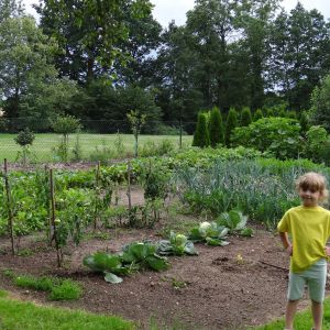 Ogród warzywny.