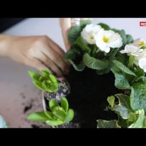 Jak zrobić dekorację z kwitnących kwiatów