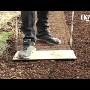 Jak założyć trawnik z siewu