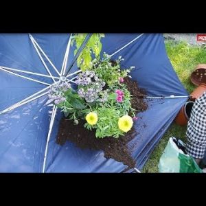Jak zrobić ogródek w parasolce