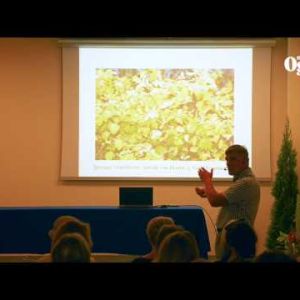 Tawuły - cenne krzewy dla zieleni. Część 2. Zieleń to Życie 2014