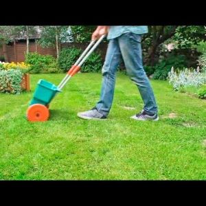Jak nawozić trawnik latem