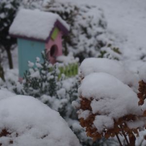 Kolorowe budki ożywiają ogród zimą