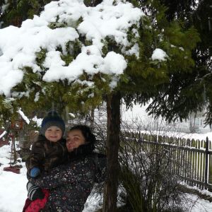 Krzewy w śniegu