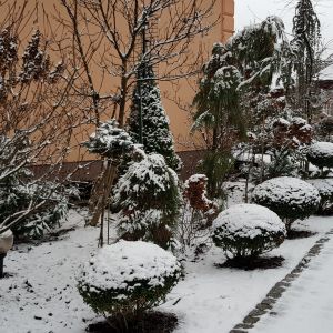 Ogród w zimowych miesiącach