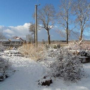 Ogródek w śniegu.