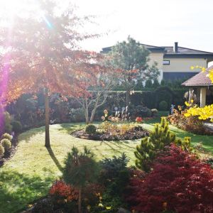 ogród za domem - jesień 2018