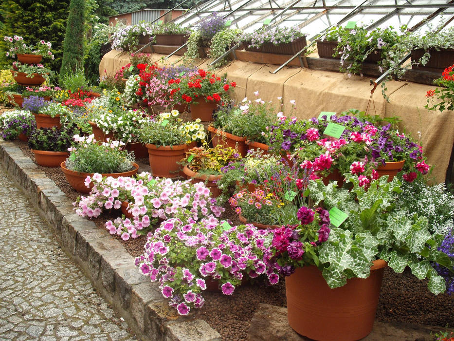 BOTANICZNY WROCŁAW