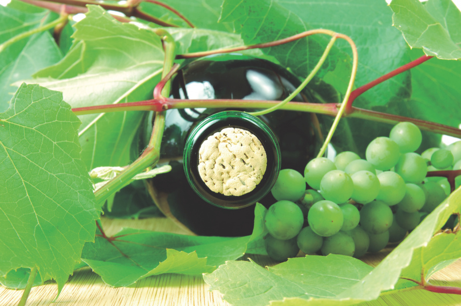 Im bardziej nasłoneczniona jest nasza winnica, tym lepszej jakości uzyskamy winogrona: większe i słodsze.