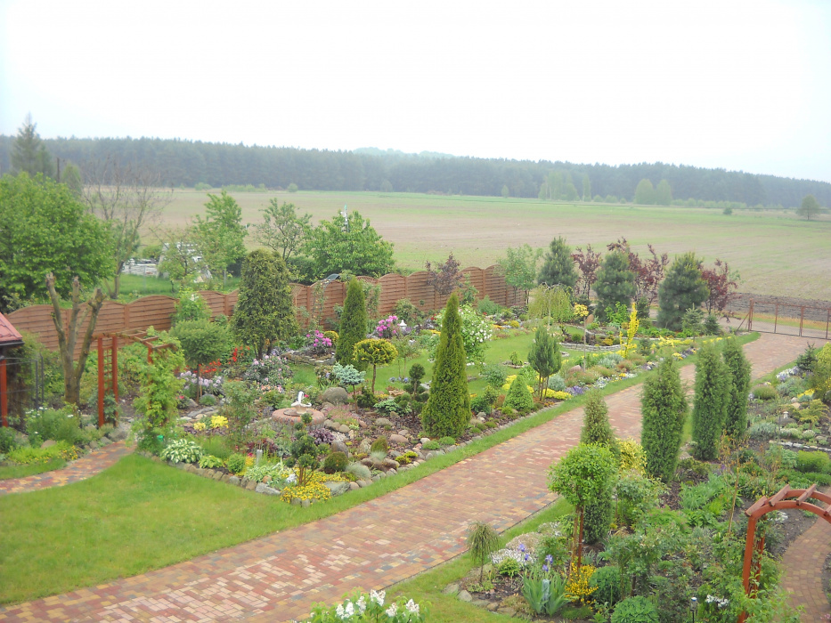 Ogólny widok lewej strony ogrodu.