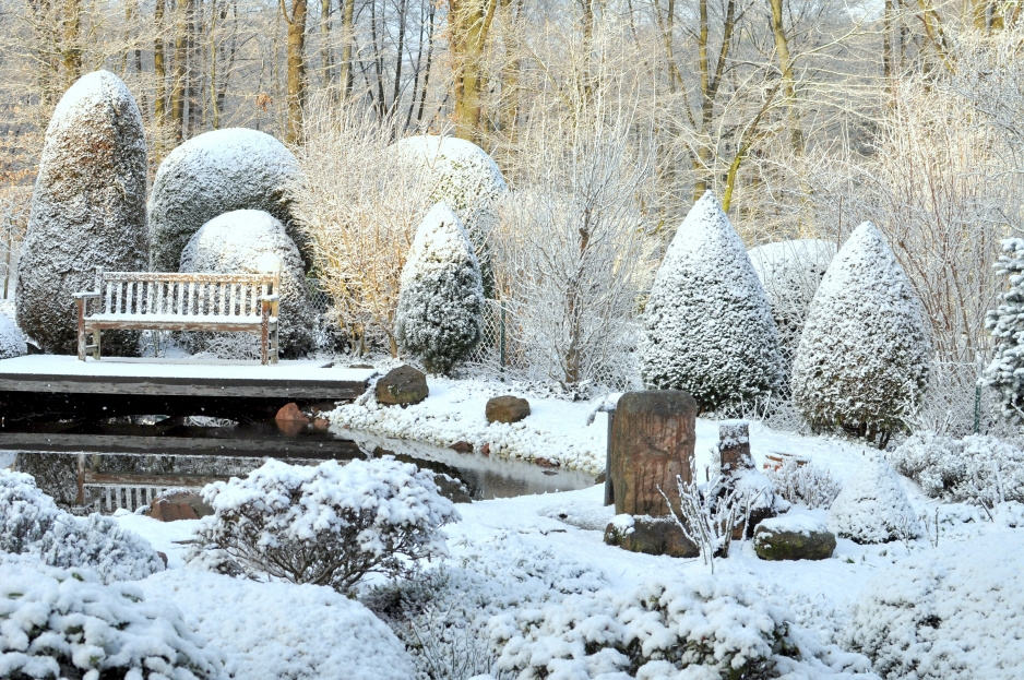 Ogród w zimowej szacie to piękny widok, pamiętajmy jednak, że nadmiernej pokrywy śnieżnej należy pozbawiać zwłaszcza rośliny zimozielone, np. iglaki, by uchronić je przed wyłamywaniem się gałęzi (zdj. Fotolia.com). 