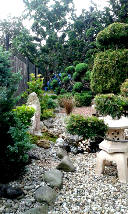 Ogród japoński.