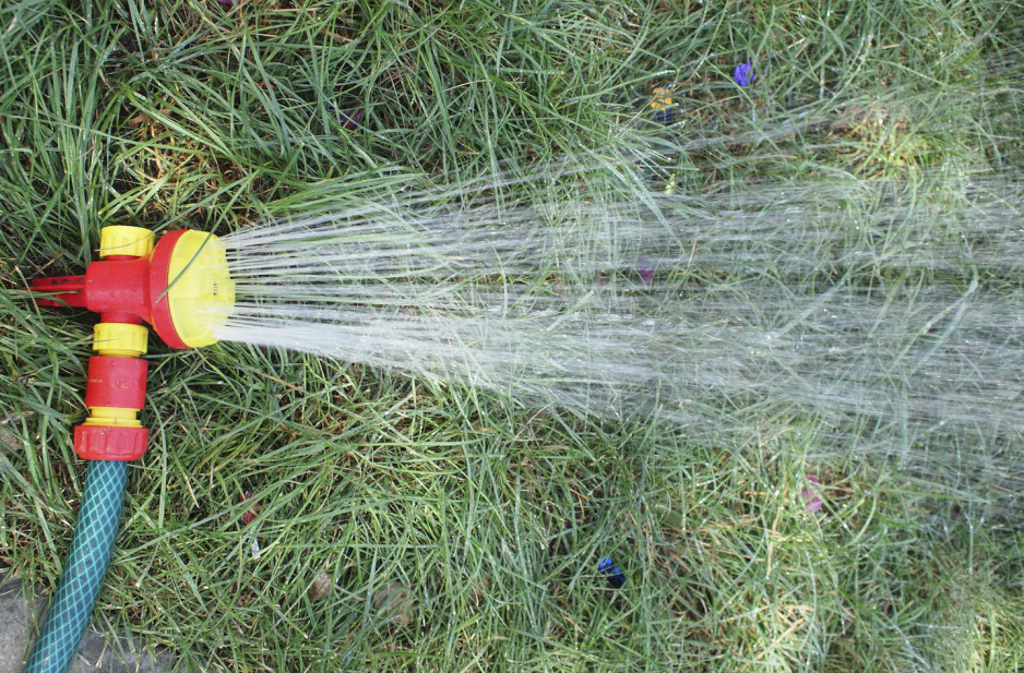 Podlewanie trawnika jest kluczowe, szczególnie w czasie upałów (zdj.: Fotolia.com)