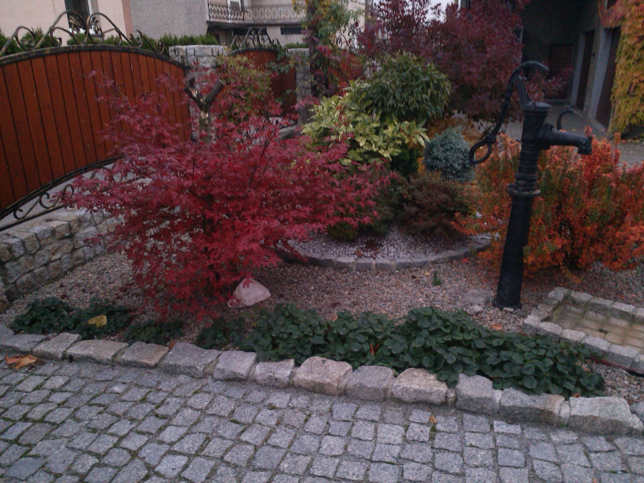 Ogród w barwach jesieni.