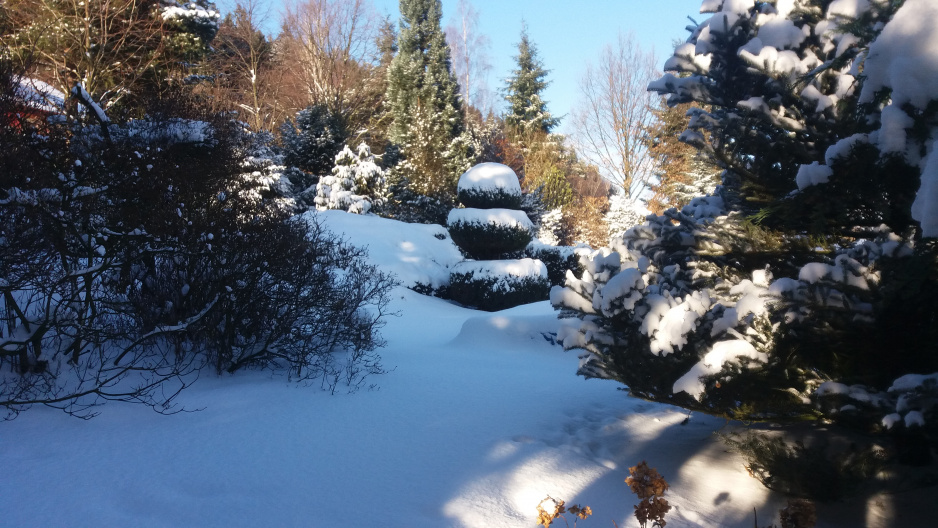 zima  w ogrodzie2016-17