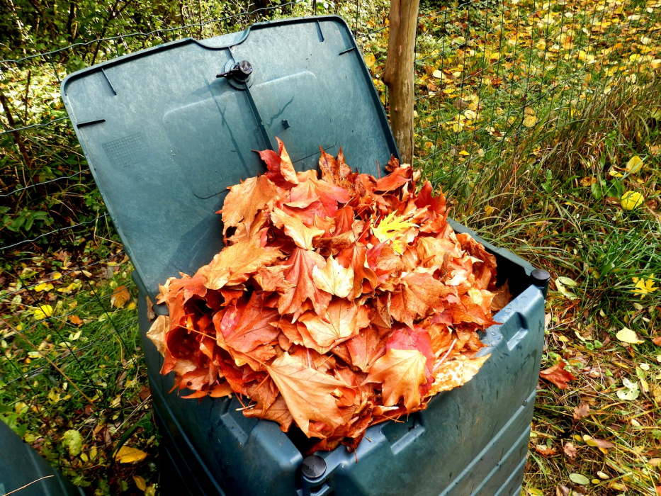 Kompostując liście należy je od czasu do czasu podlać wodą, by przyśpieszyć proces rozkładu (zdj.: Fotolia.com)