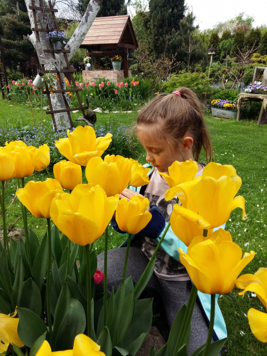 Wnuczka uwielbia kwiaty i robić z nich bukiety.Nigdy nie ma problemu,żeby zerwała trochę i próbowała swoich sił we "florystyce'...przecież poprzez zabawę,dzieci najlepiej się uczą :)