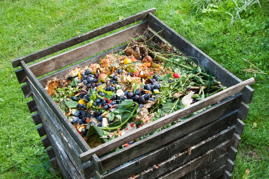 Nie wszystko nadaje się na kompost - Mój Piękny Ogród - Ogrody ...